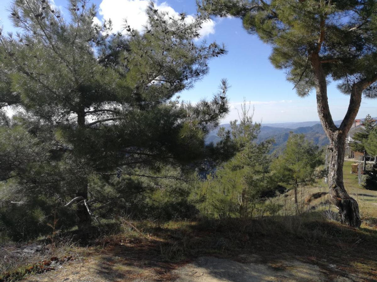 Heaven Of Prodromos Bed and Breakfast Buitenkant foto